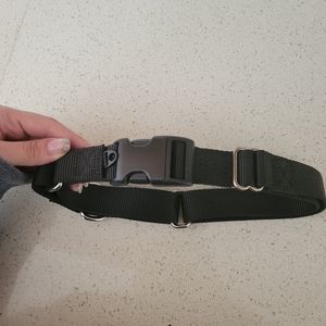 Martingale dog collar SizeL